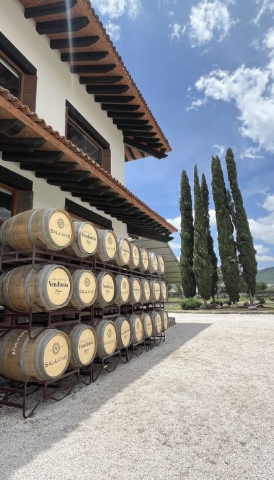 Freixenet _ México _ Querétaro _ viñedo _ turismo _ vino _ uvas _